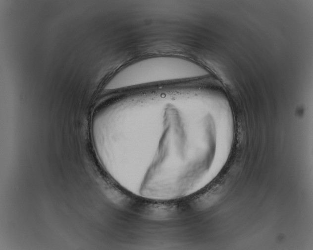 X0000090860453200708241902