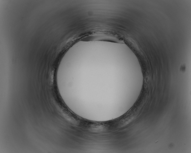 X0000090860454200708241902