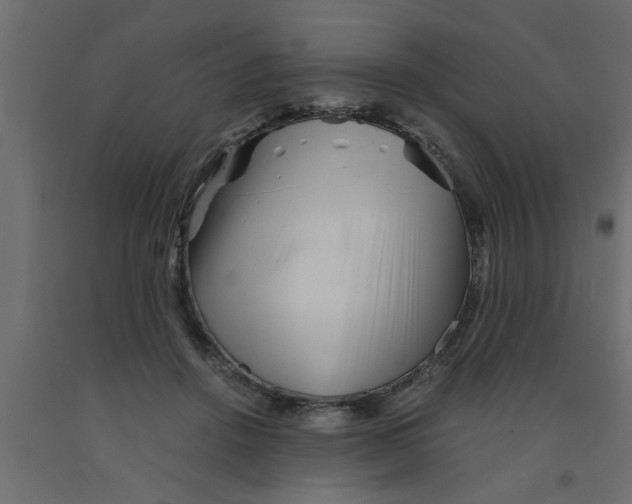 X0000090860456200708241902