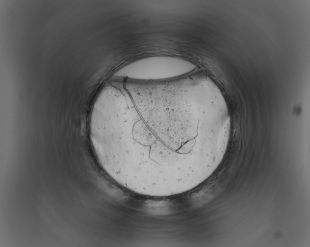 X0000090860457200708241902