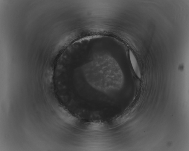 X0000090860458200708241902