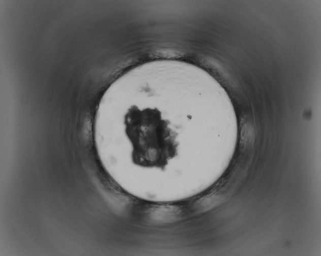 X0000090860459200708241902