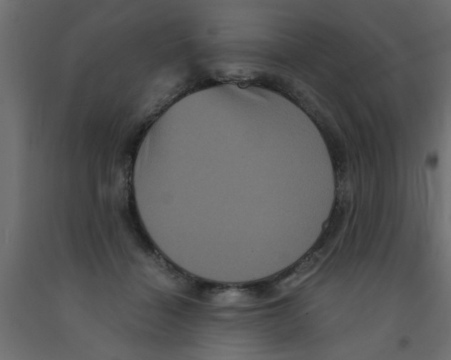 X0000090860460200708241902