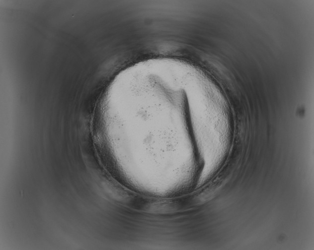 X0000090860461200708241902