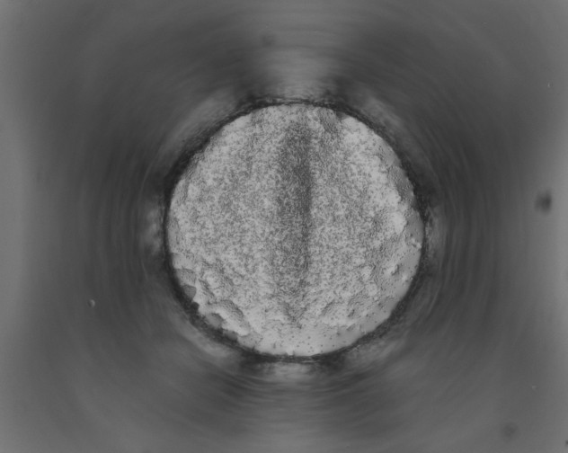 X0000090860462200708241902