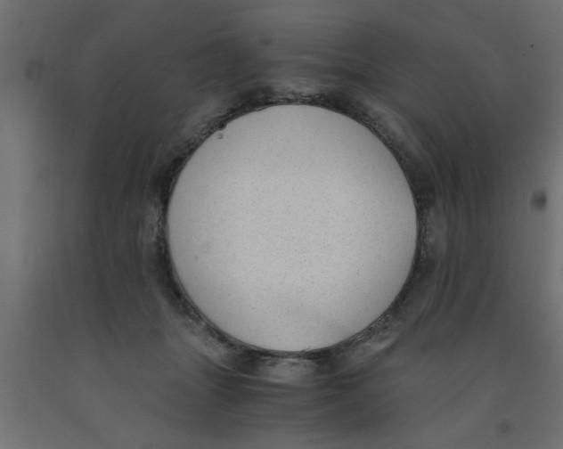 X0000090860463200708241902