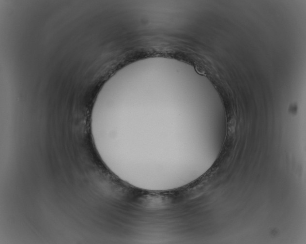 X0000090860464200708241902