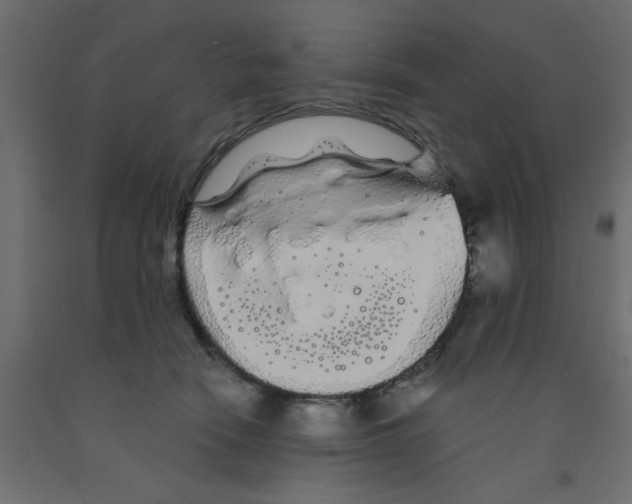 X0000090860466200708241902