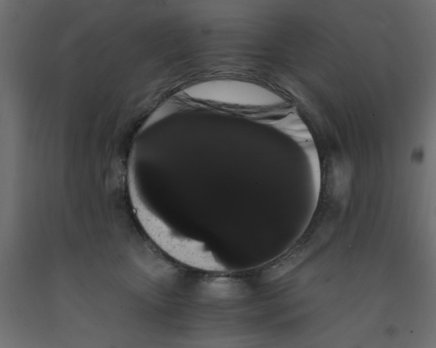 X0000090860467200708241902