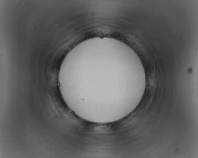 X0000090860468200708241902