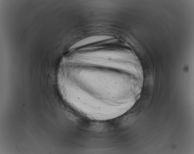 X0000090860469200708241902