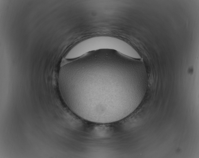 X0000090860470200708241902