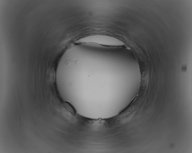 X0000090860474200708241902