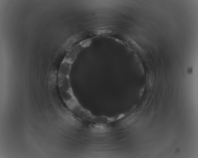 X0000090860475200708241902