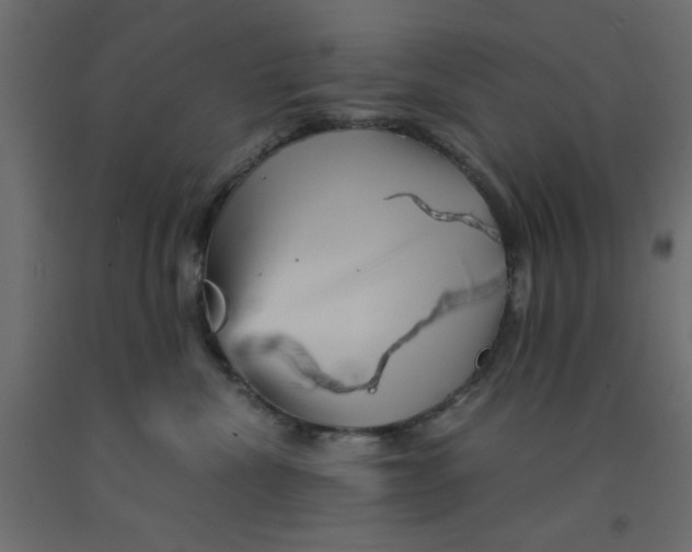 X0000090860476200708241902