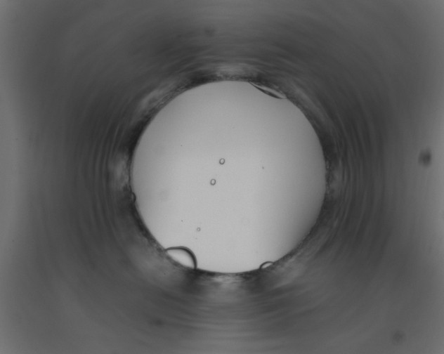 X0000090860478200708241902