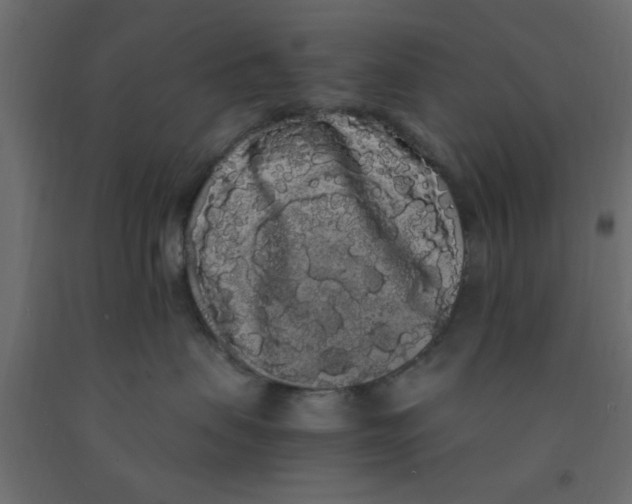 X0000090860479200708241902