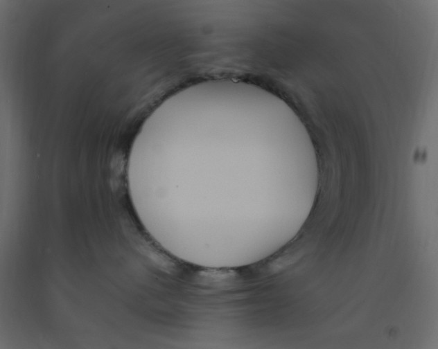 X0000090860480200708241902