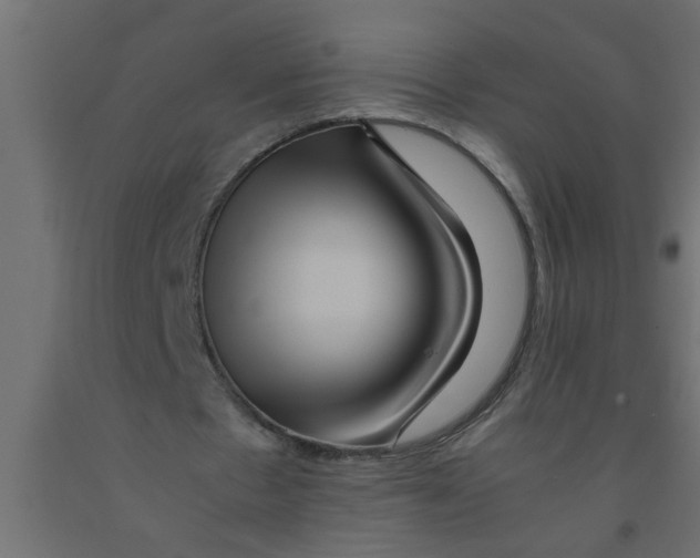 X0000090860481200708241902