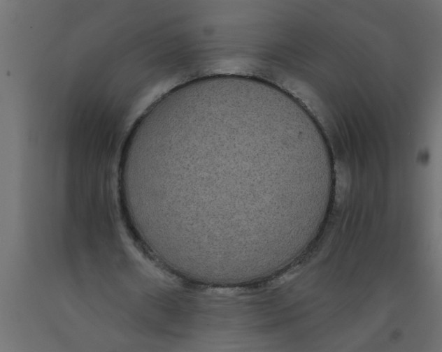 X0000090860482200708241902