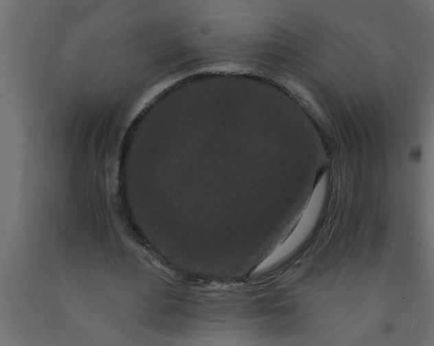 X0000090860484200708241902