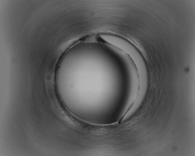 X0000090860485200708241902