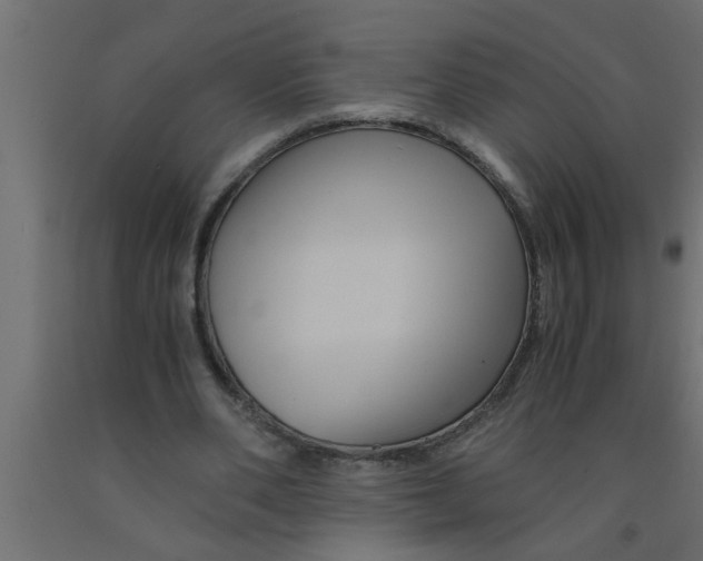 X0000090860486200708241902