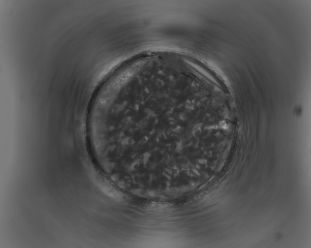 X0000090860487200708241902