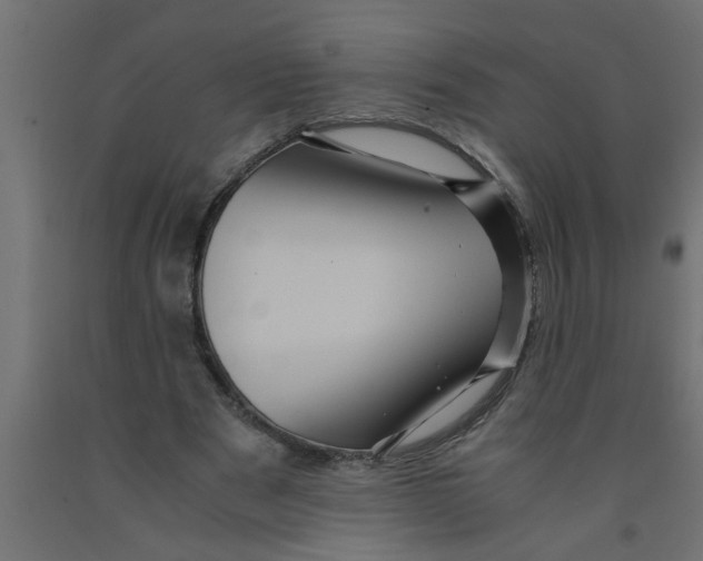 X0000090860489200708241902