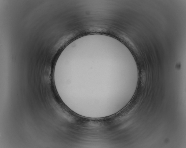 X0000090860490200708241902