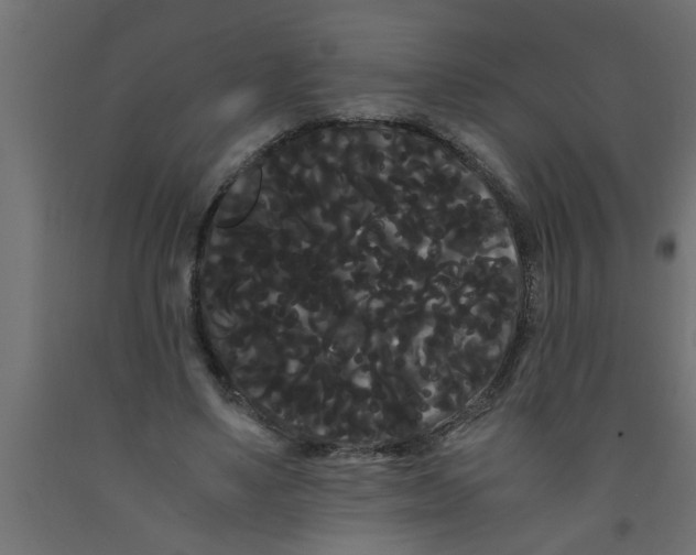 X0000090860491200708241902