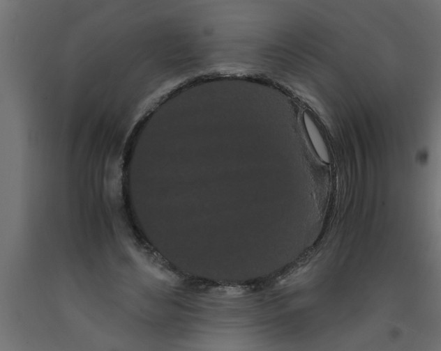 X0000090860492200708241902