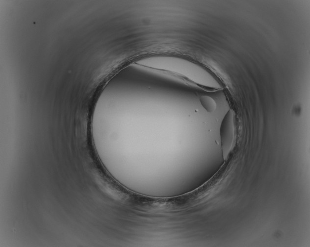 X0000090860493200708241902