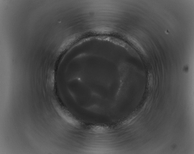 X0000090860494200708241902