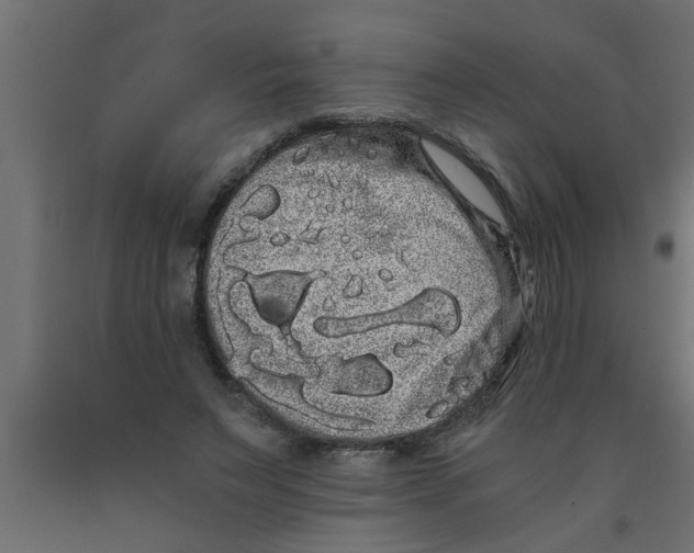 X0000090860495200708241902