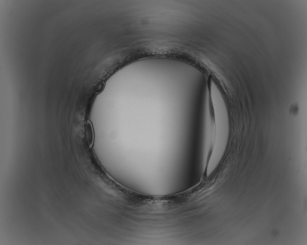 X0000090860497200708241902