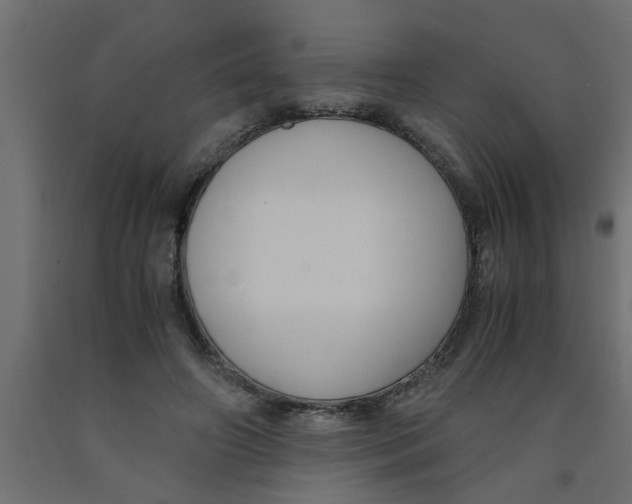 X0000090860498200708241902