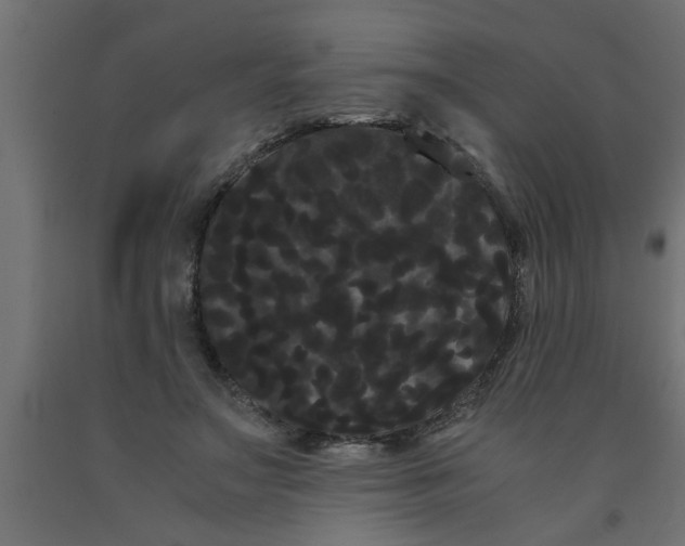 X0000090860499200708241901