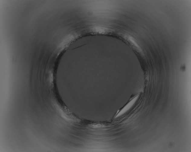 X0000090860500200708241901