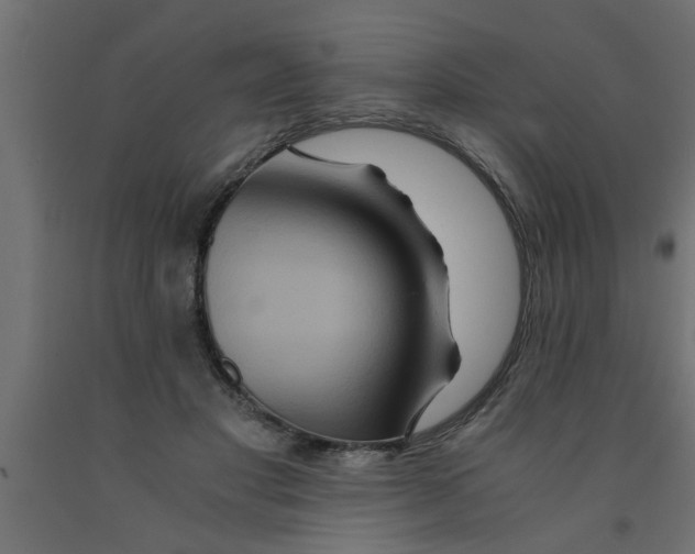 X0000090860501200708241901