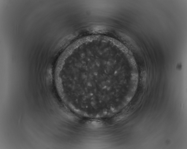 X0000090860506200708241901