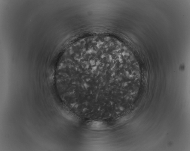 X0000090860507200708241901