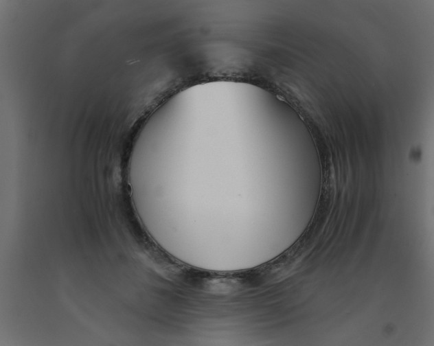 X0000090860508200708241901