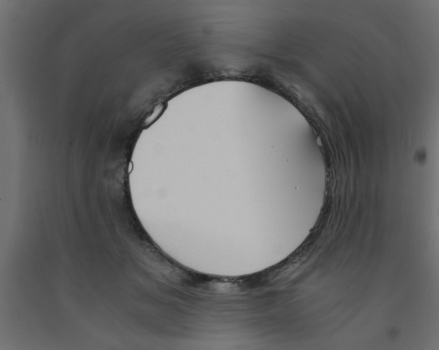 X0000090860509200708241901