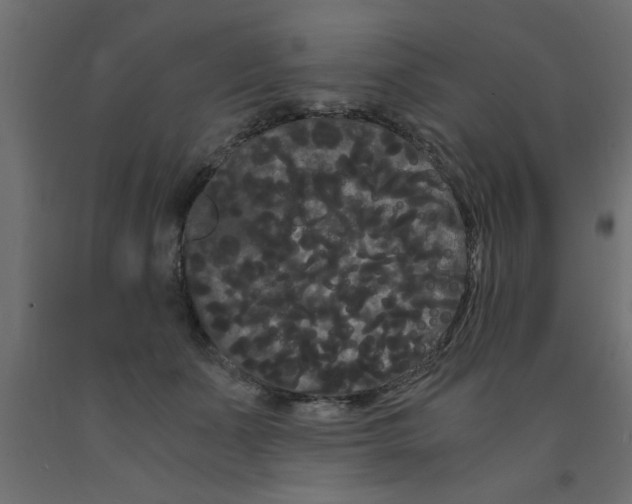 X0000090860511200708241901