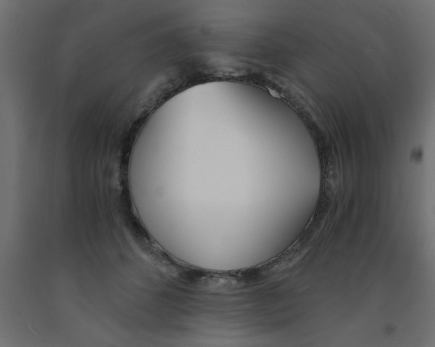 X0000090860512200708241901