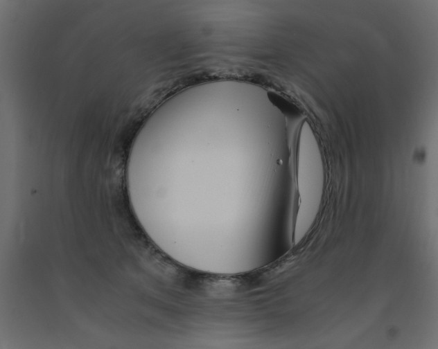 X0000090860513200708241901