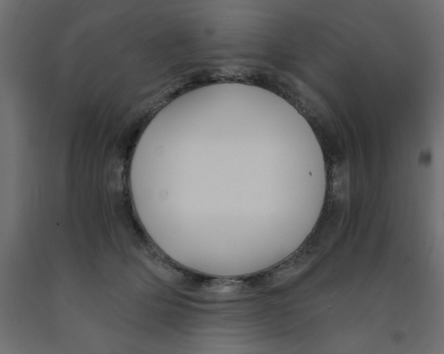 X0000090860514200708241901