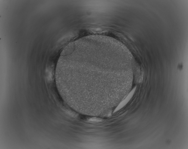 X0000090860515200708241901