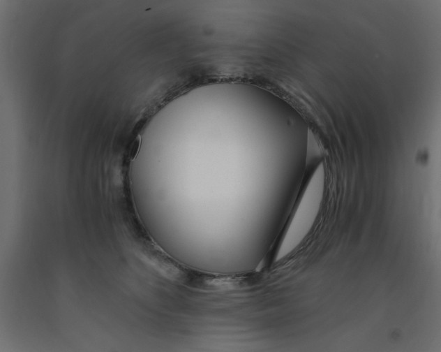 X0000090860516200708241901